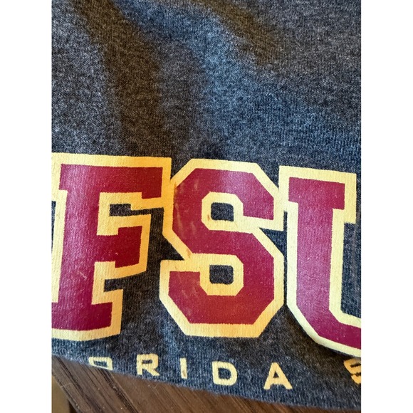 Champion Florida State University FSU Dad T Shirt Dark Gray Size Large - Picture 2 of 6